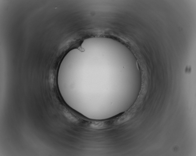 X0000102240720200807250837