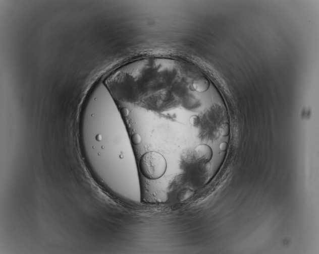 X0000102240721200807250836