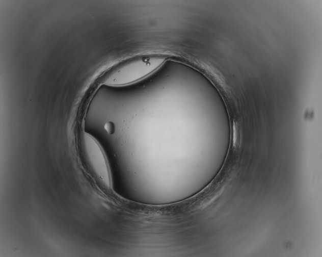 X0000102240723200807250836