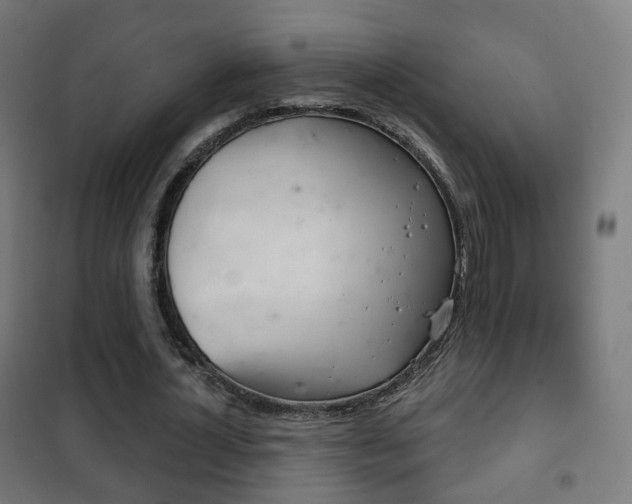 X0000102240724200807250836