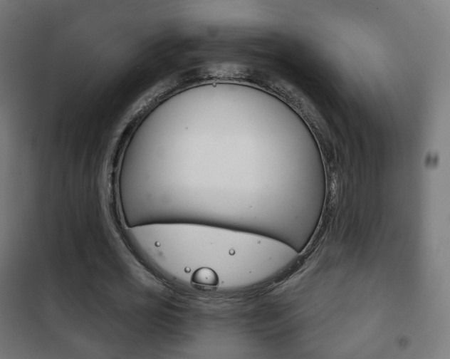 X0000102240725200807250836