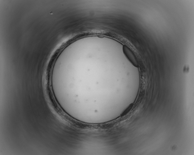 X0000102240726200807250836