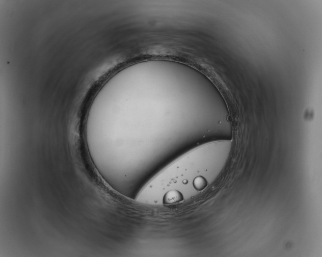 X0000102240727200807250836