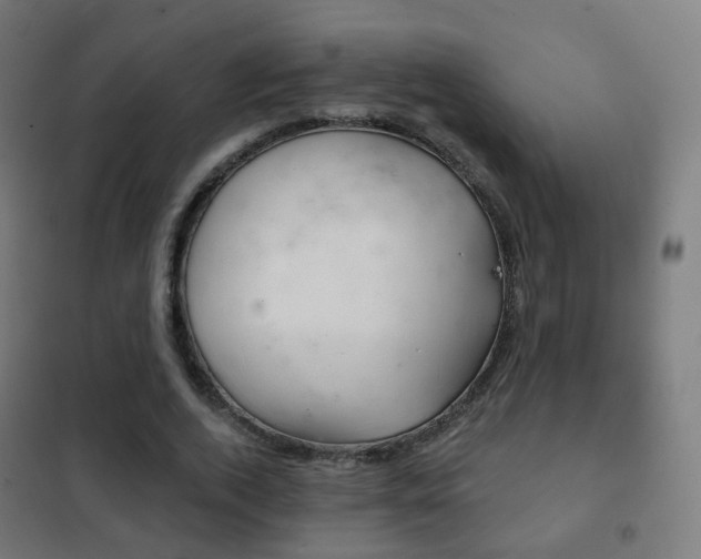 X0000102240728200807250836