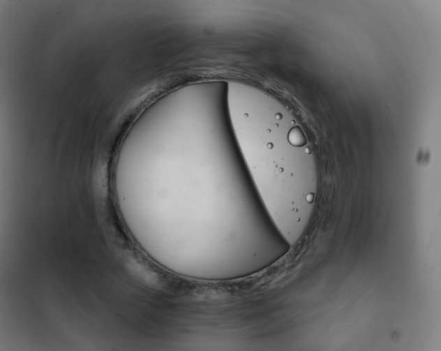 X0000102240729200807250836