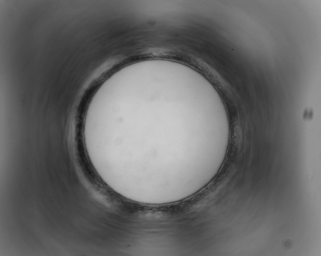 X0000102240730200807250836