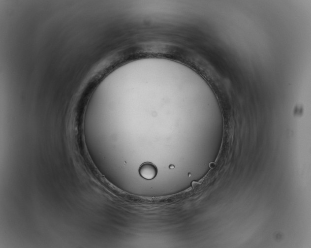 X0000102240731200807250837