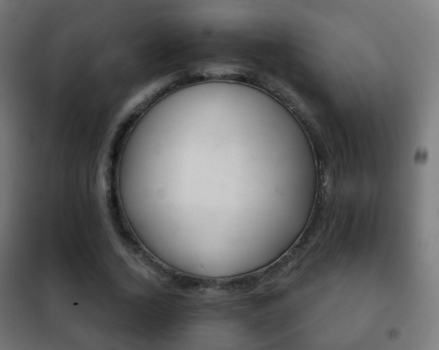 X0000102240732200807250837