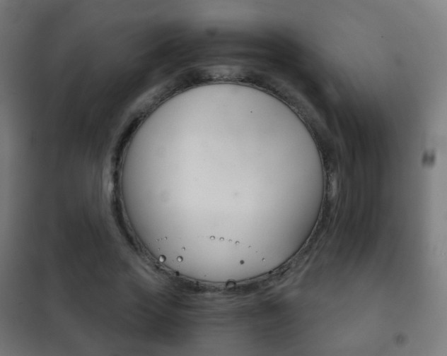 X0000102240733200807250837