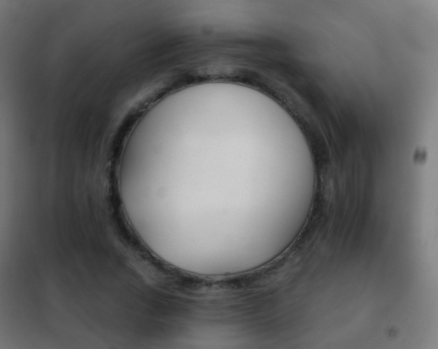 X0000102240735200807250837