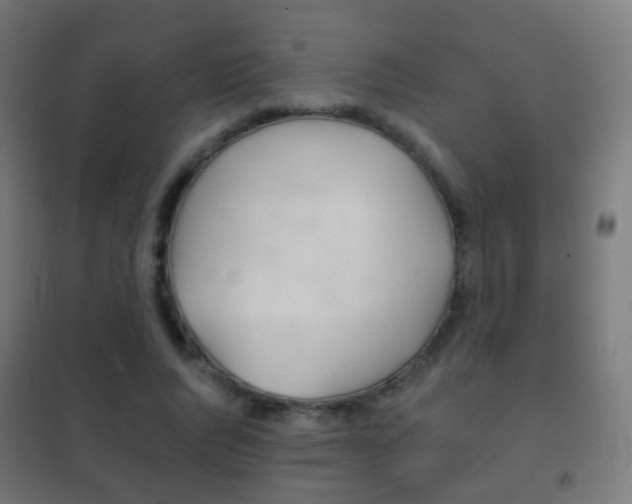 X0000102240736200807250837