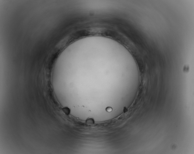 X0000102240737200807250837