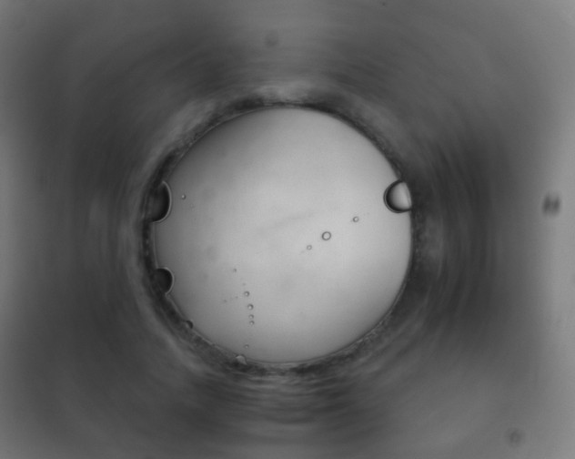X0000102240738200807250837
