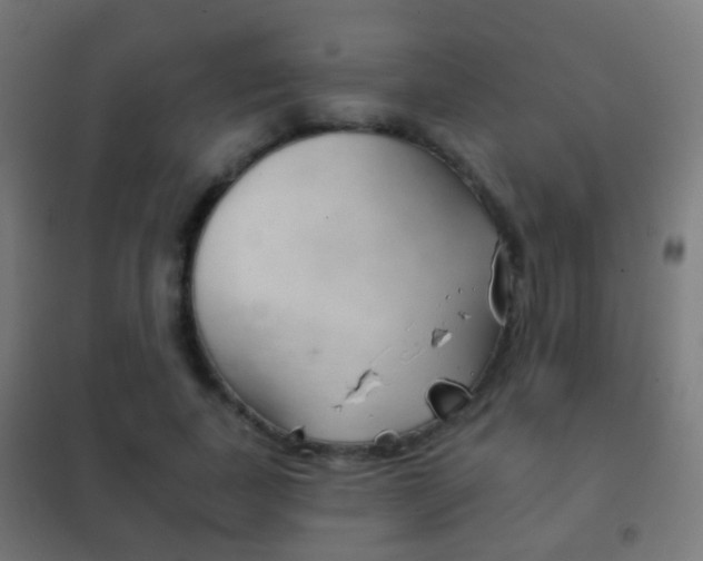 X0000102240739200807250837