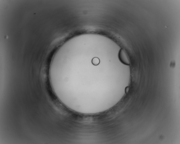 X0000102240740200807250837