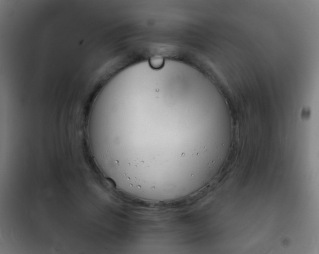 X0000102240741200807250837