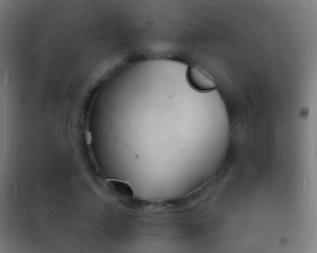 X0000102240742200807250837