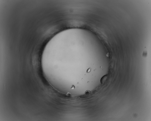 X0000102240743200807250837