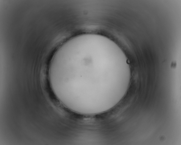X0000102240744200807250837