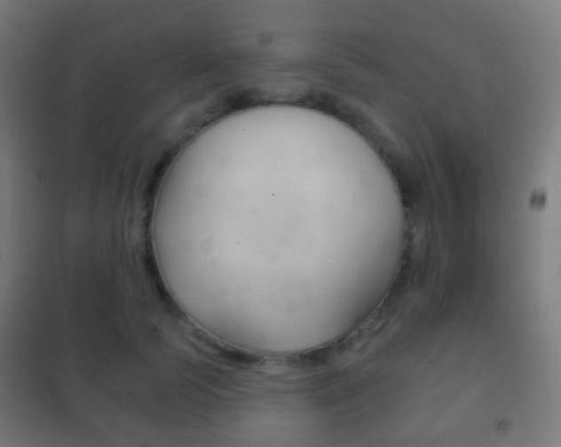 X0000102240745200807250837