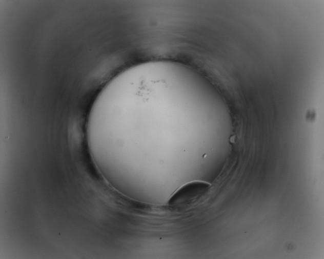 X0000102240746200807250837