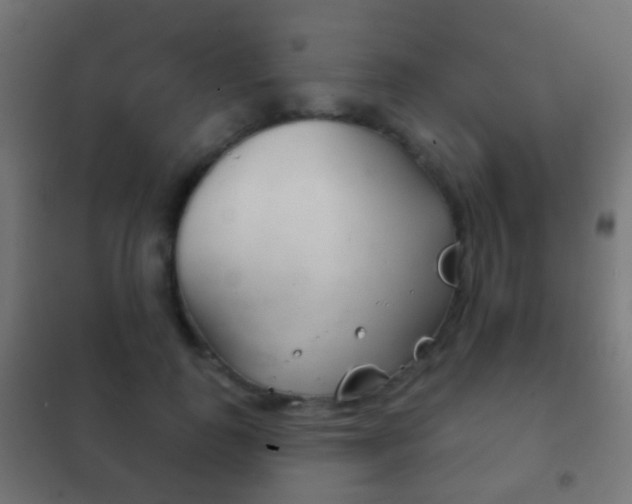 X0000102240747200807250837