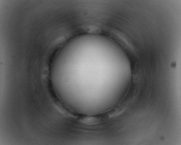 X0000102240748200807250837