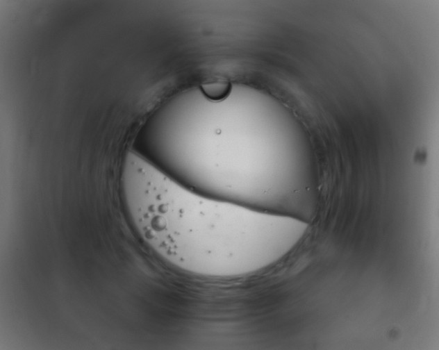 X0000102240749200807250837