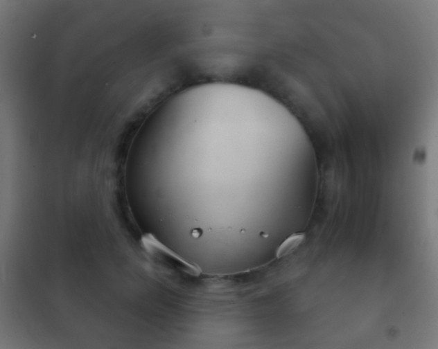 X0000102240750200807250837