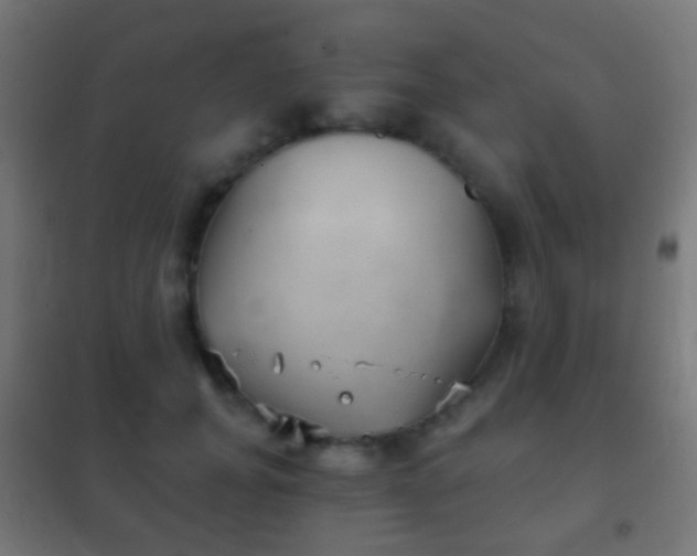 X0000102240751200807250837
