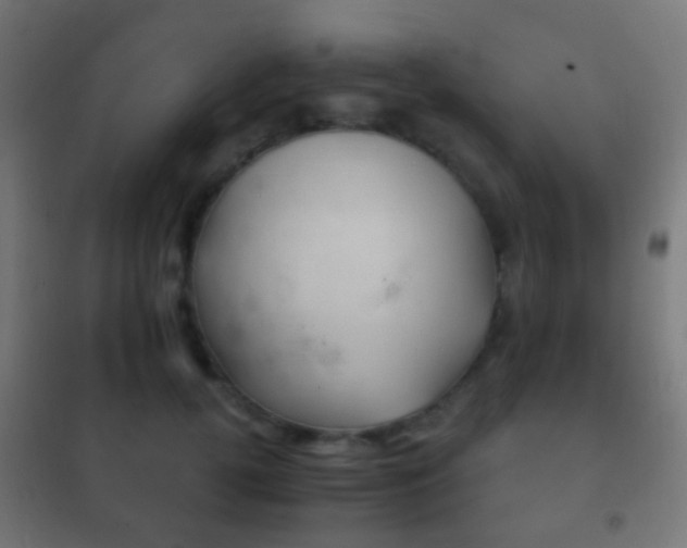 X0000102240752200807250837