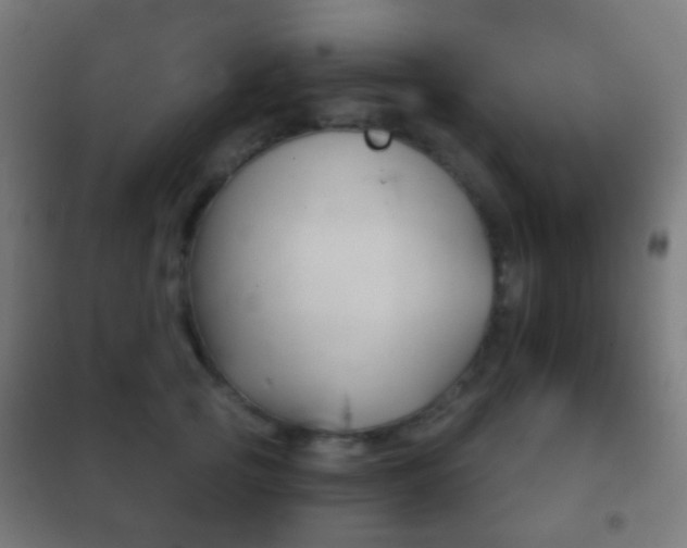 X0000102240753200807250837