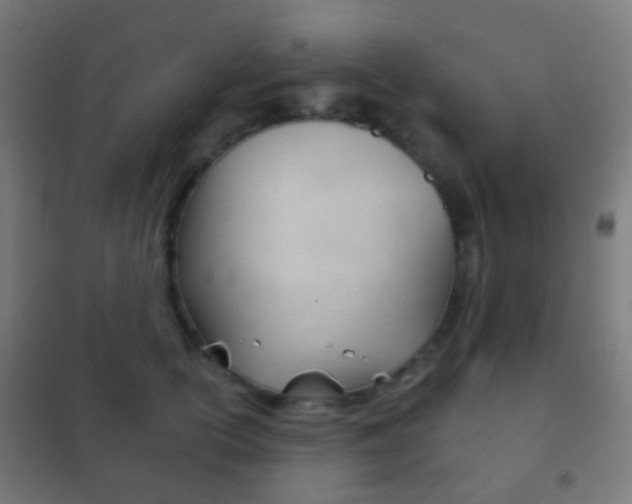 X0000102240754200807250837