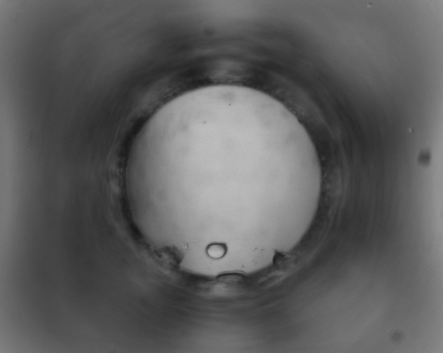 X0000102240755200807250837
