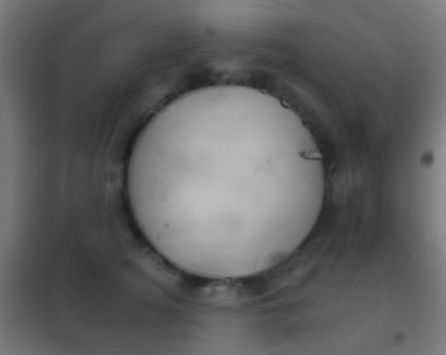 X0000102240756200807250837