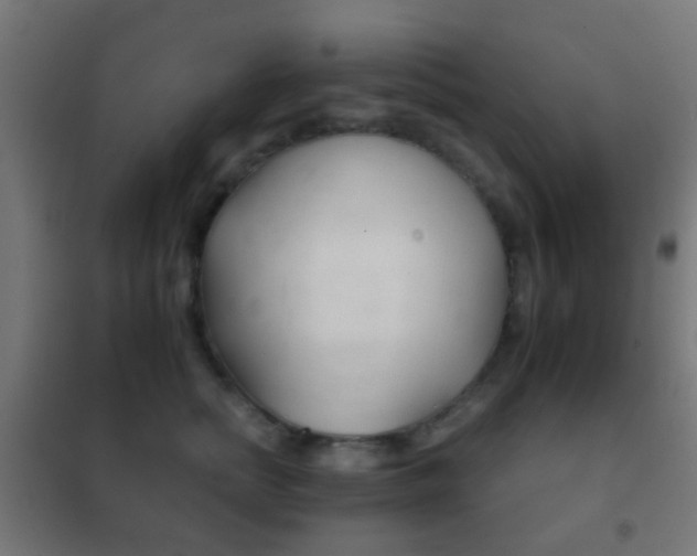 X0000102240758200807250837