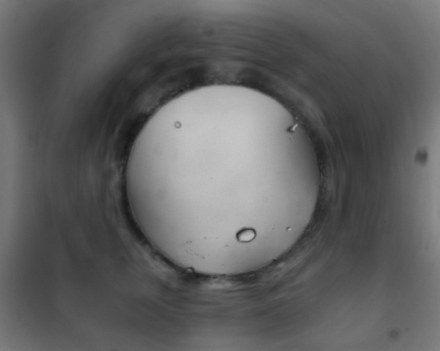 X0000102240759200807250837