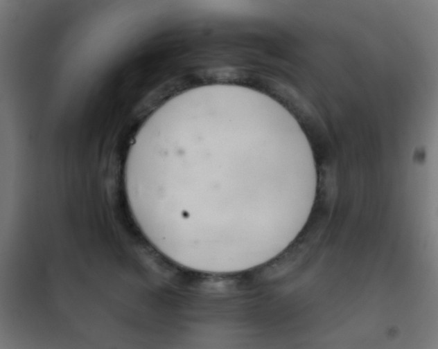 X0000102240760200807250837
