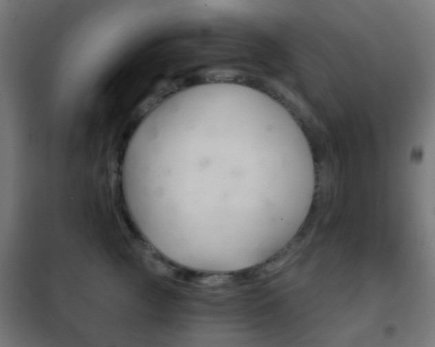 X0000102240761200807250837