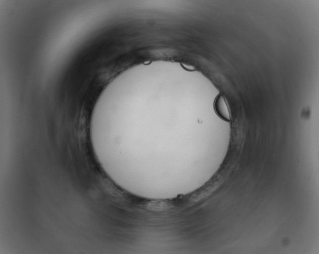 X0000102240762200807250837