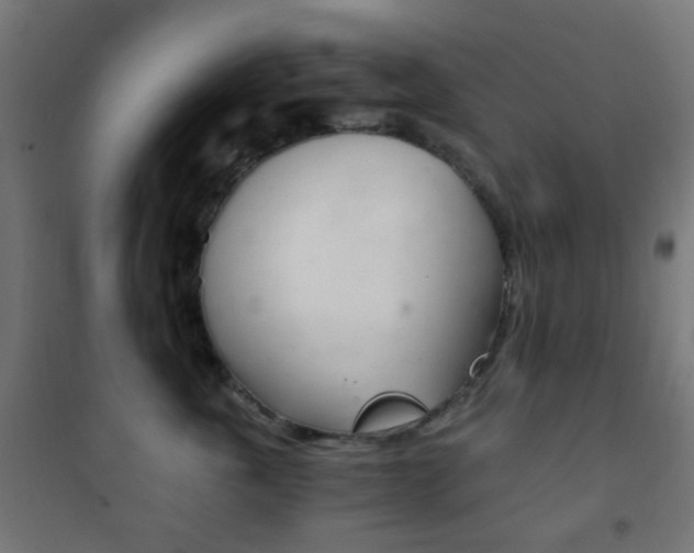 X0000102240763200807250837