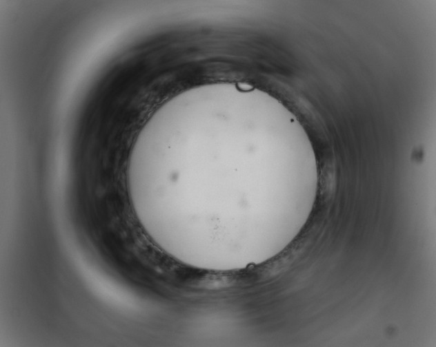 X0000102240764200807250837