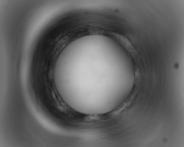 X0000102240765200807250837