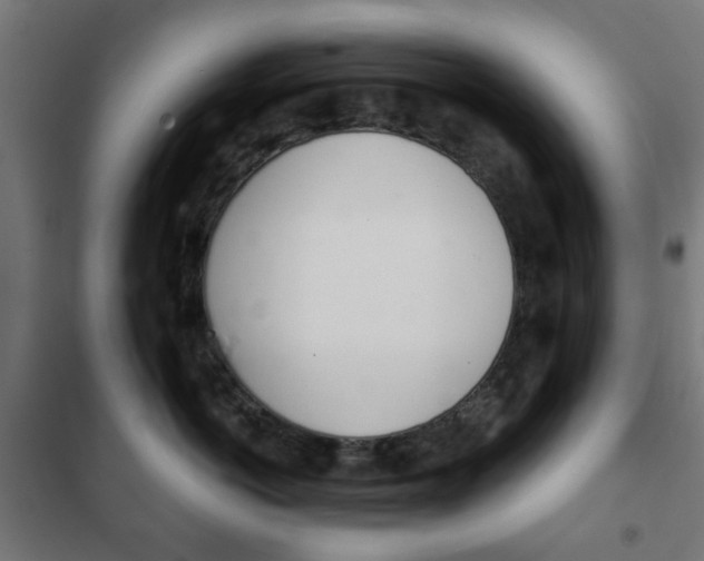 X0000102240766200807250837