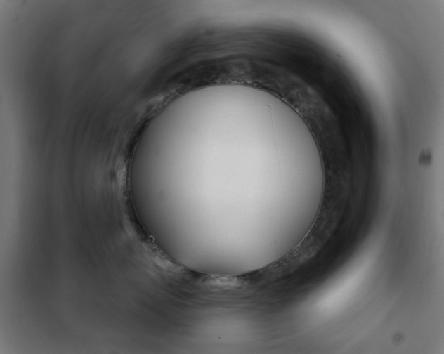 X0000102240767200807250837