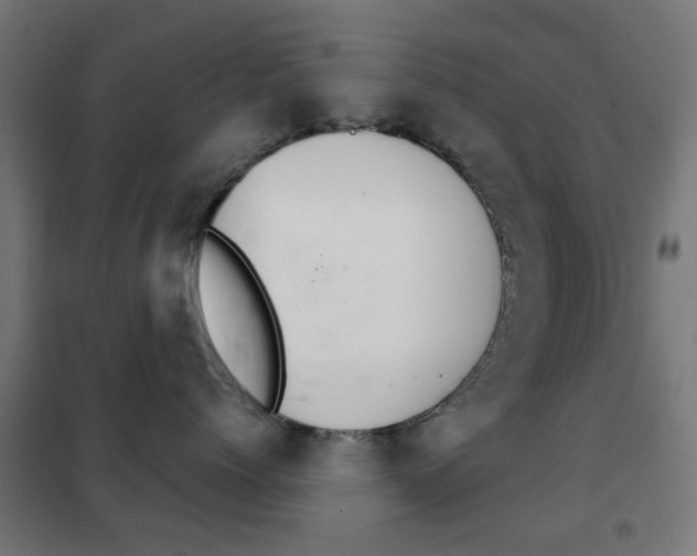 X0000102240768200807250837