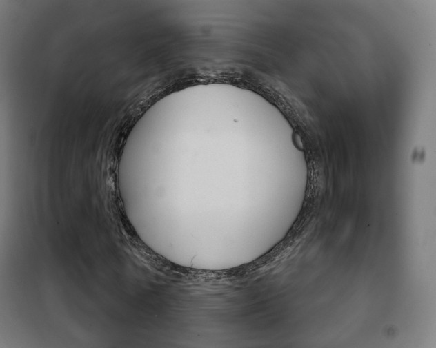 X0000102240770200807250836