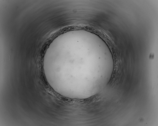 X0000102240773200807250836