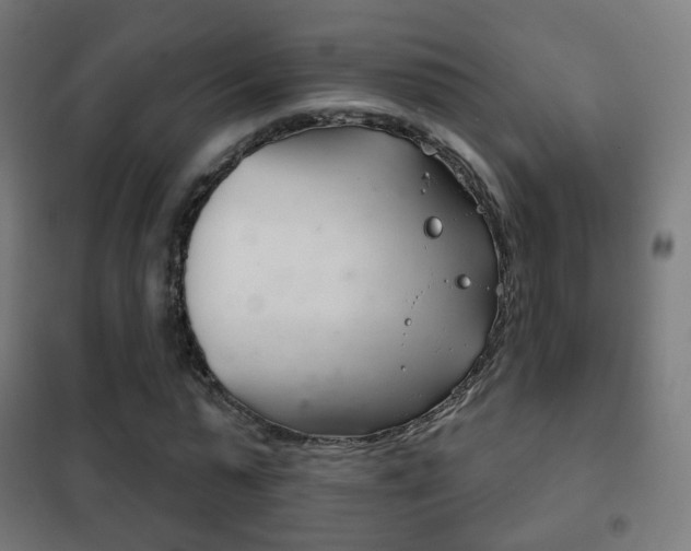 X0000102240775200807250836