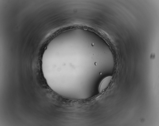 X0000102240776200807250836